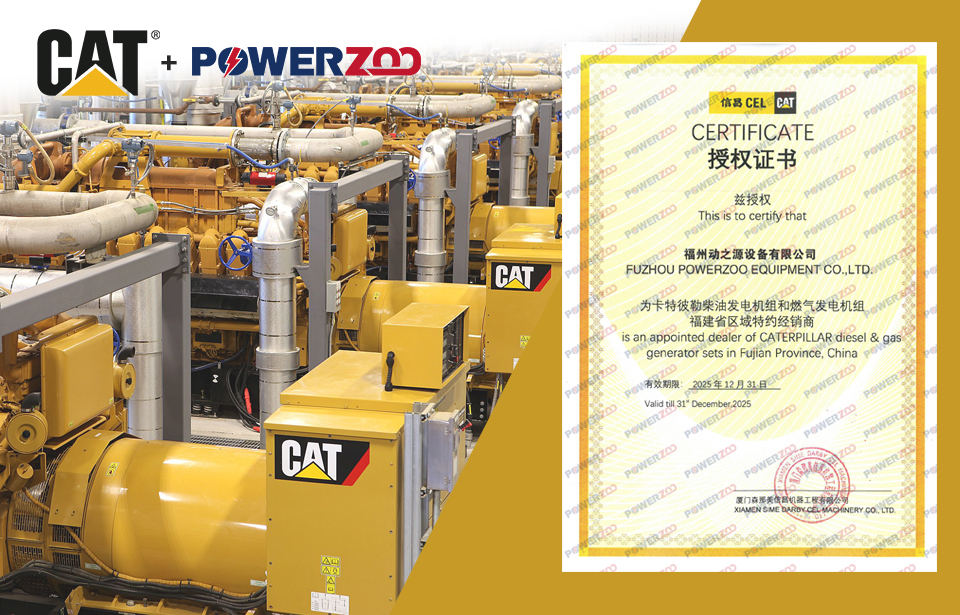 revendedor de lagartas